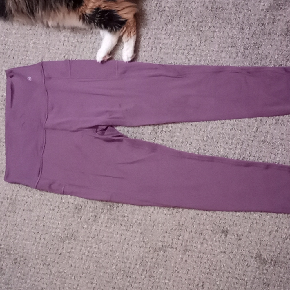Purple cherry wing leggings with pockets